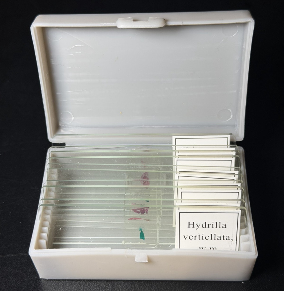 10 PC/Set Biology Sample Specimens Microscope Prepared Specimens Slides Student