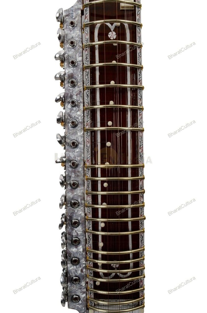 Professional High Quality Indian Classical Musical String Instrument Dilruba