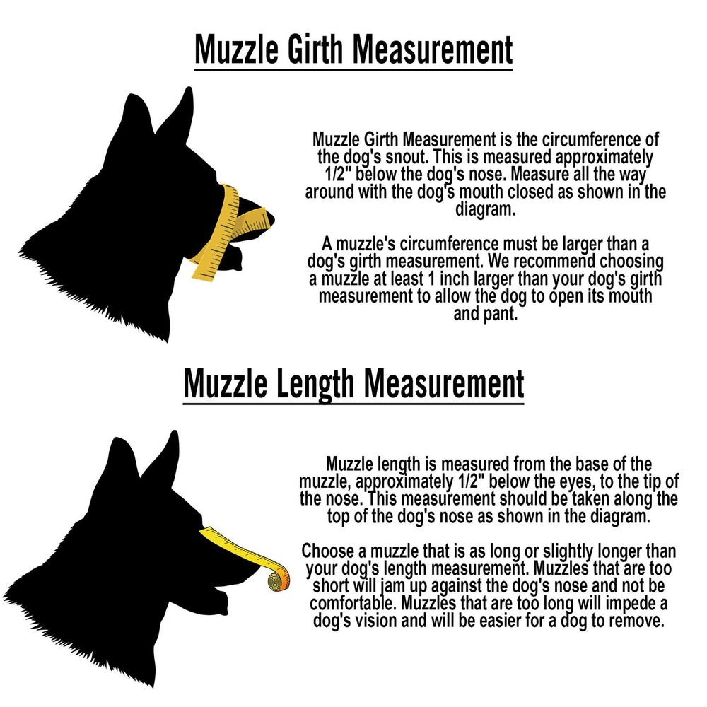 Leather Dog Muzzle (Medium)