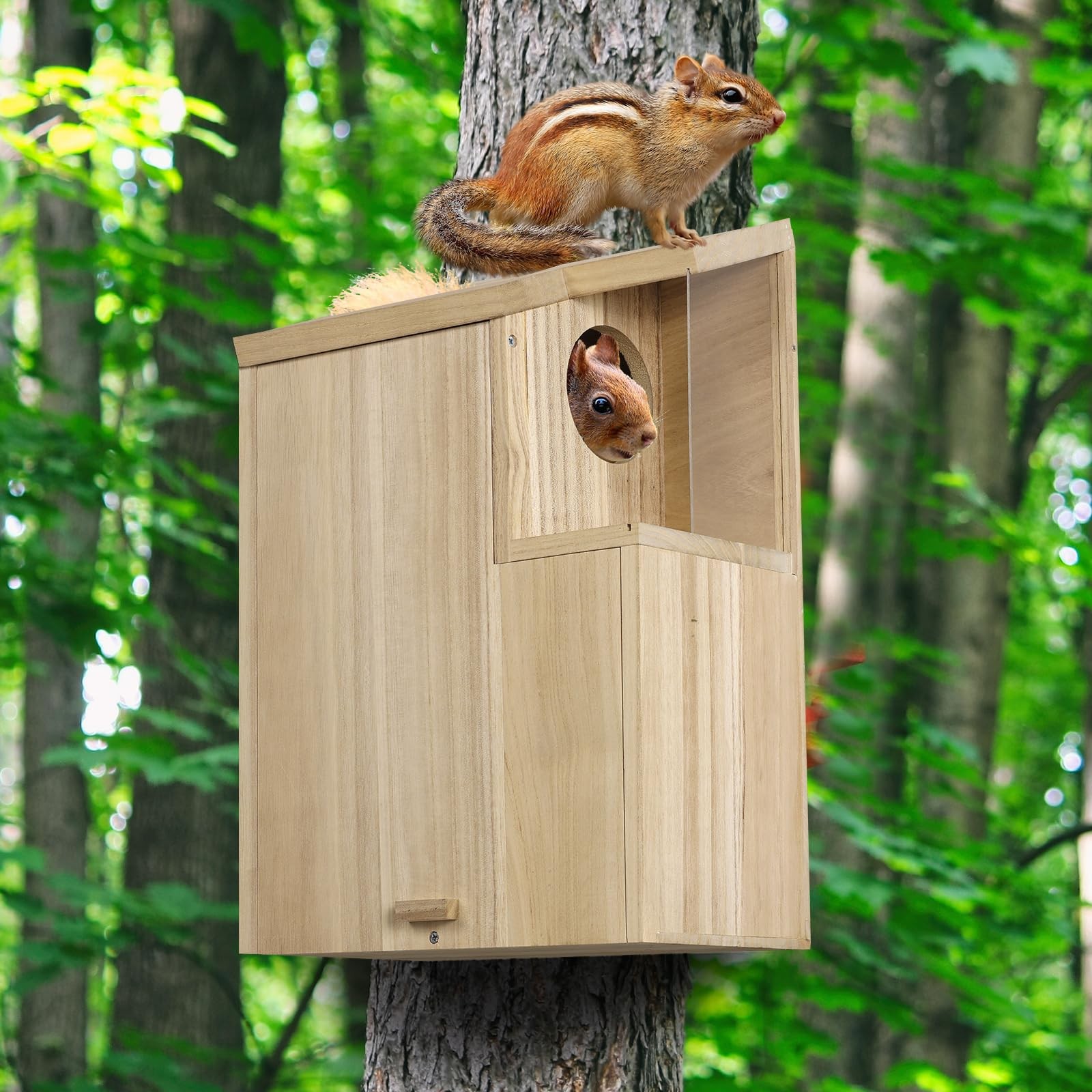Sundia Large Squirrel Family House Pine Coated Nesting Wooden Box for Breeding/L