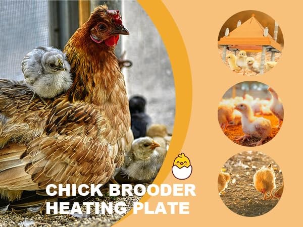 Brooder Plate for Chicks,10" x 10" Heat Plate for Chicks with Triangular Cone...