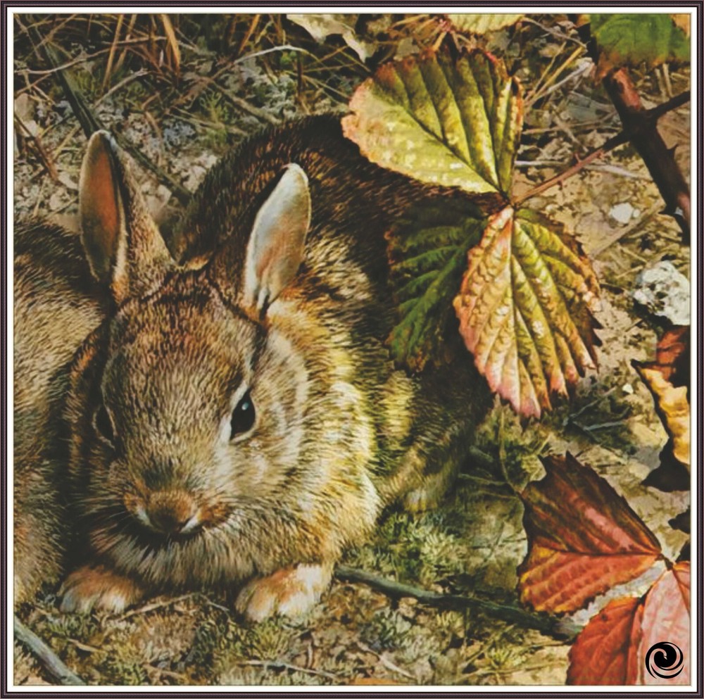 A Hare in the Leaves 1211 Chart Counted Cross Stitch Pattern Needlework