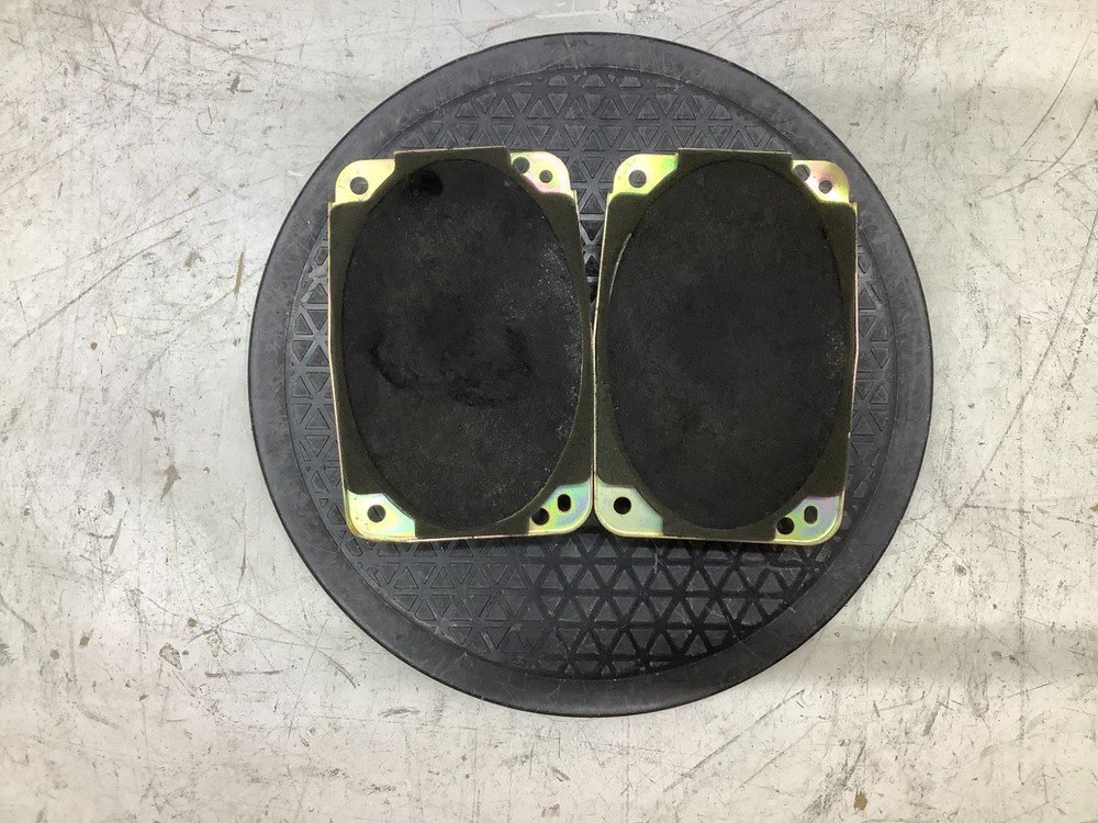 Delco Electronics 16233365 Car Speaker Pair