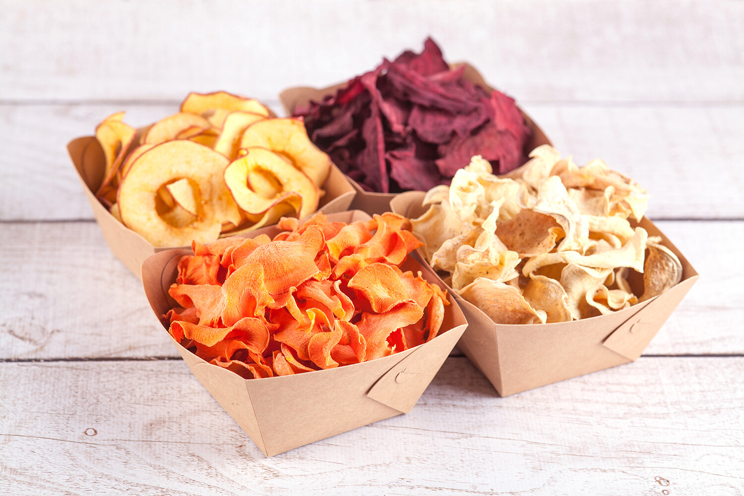 4 Fruit Leather Silicone Dehydrator Sheets with EDGES - NON-Toxic for Nesco