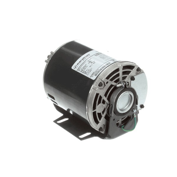 MULTIPLEX 5009598 Motor Carb Pump 120V Or220V