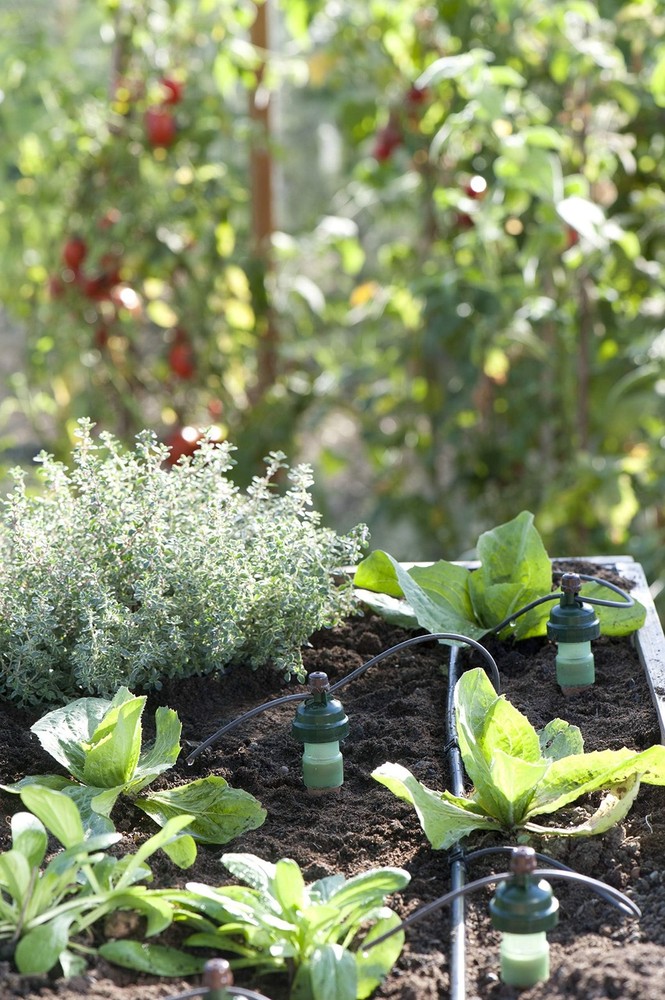 Blumat Drip Irrigation System - Tropf Patio and Deck Starter Kit - Automatic Pla