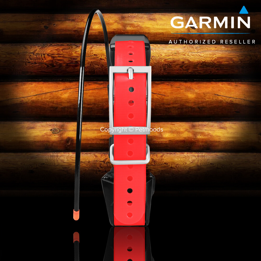 Garmin TT15X Dog Device GPS Tracking Training Collar 010-02755-80