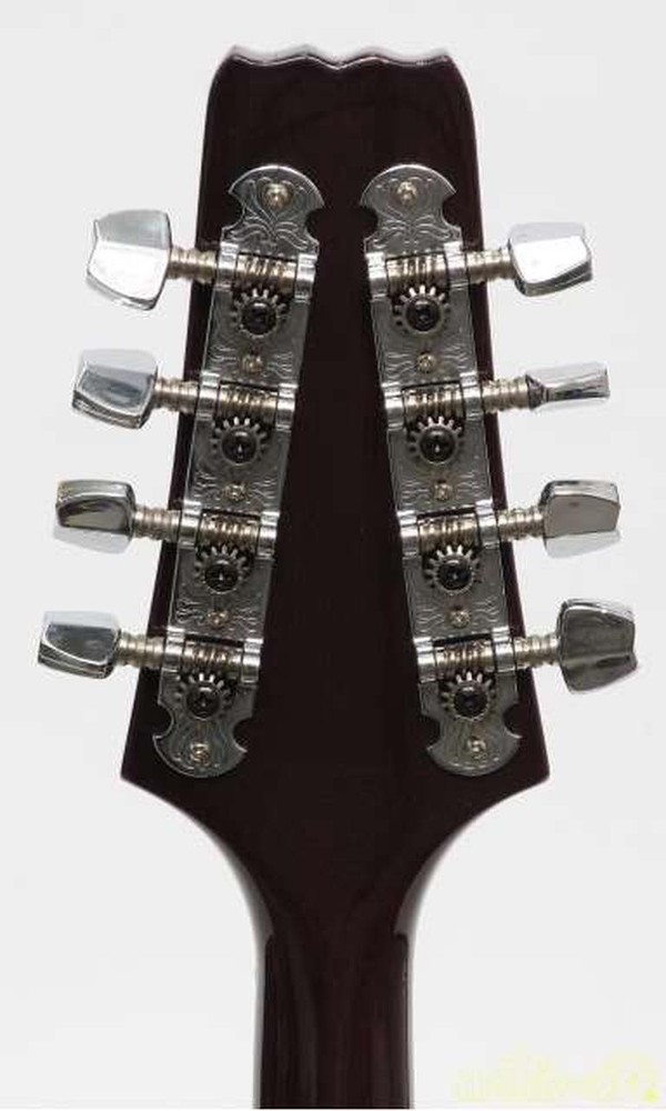 ARIA AM200E/BS Mandolin-01