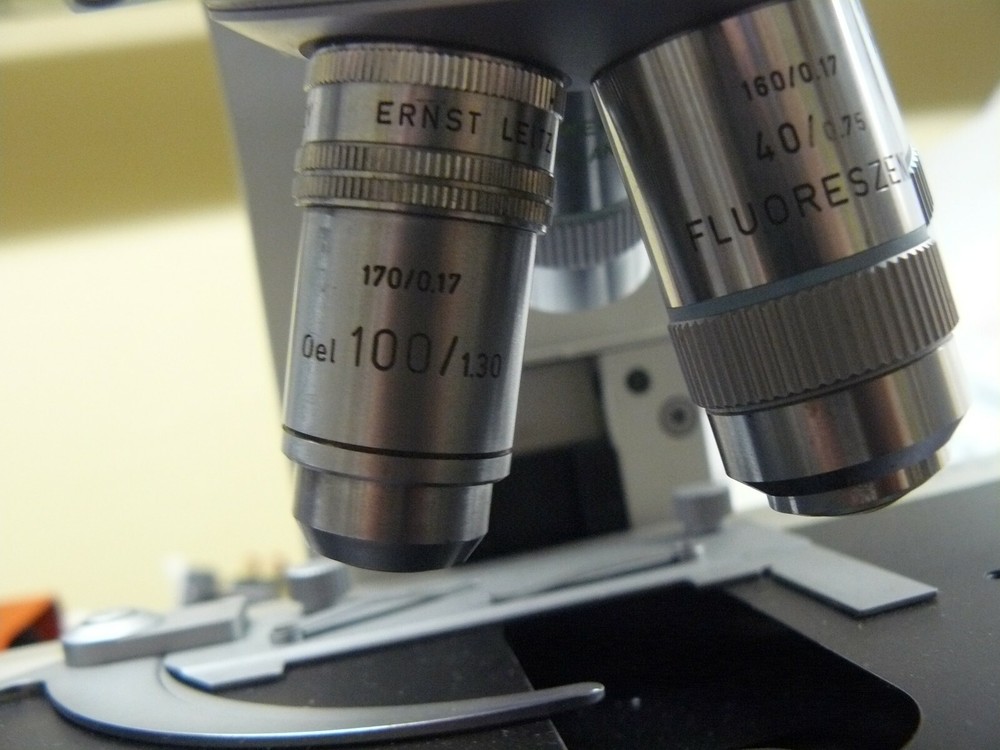 LEITZ WETZLAR ORTHOPLAN MICROSCOPE WITH OBJECTIVES FLUORESZENZ PHACO FLUOTAR