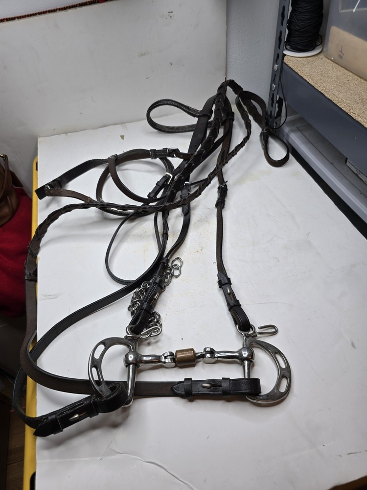 horse bridle with bit