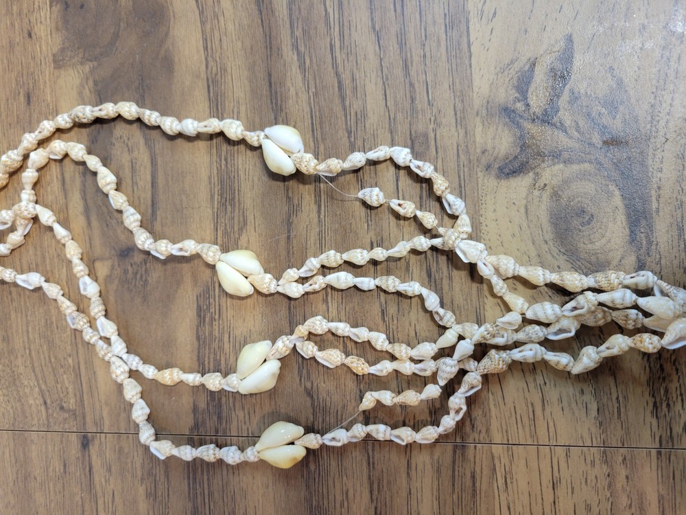 Vintage Boho Shell Hanging Plant Pot Holder Display