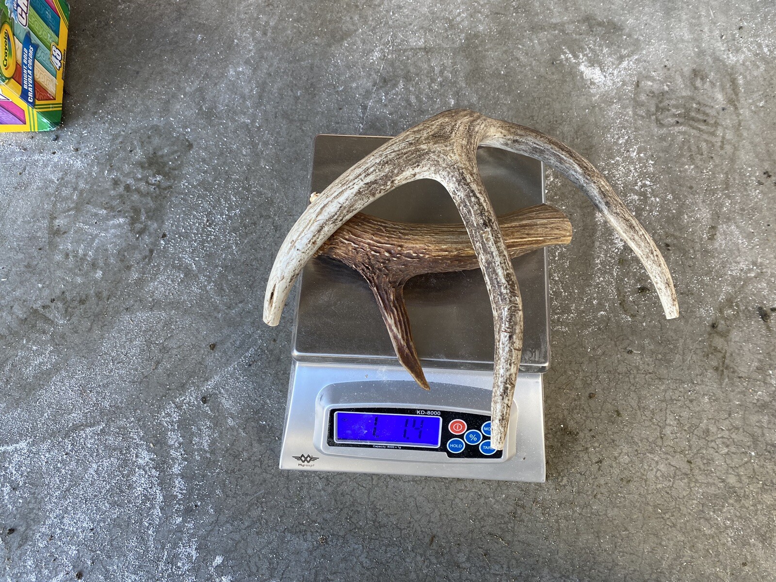 * Dog Chews * 1Lb Large Deer Antler Chews ~ All Natural, Organic HIGH QUALITY