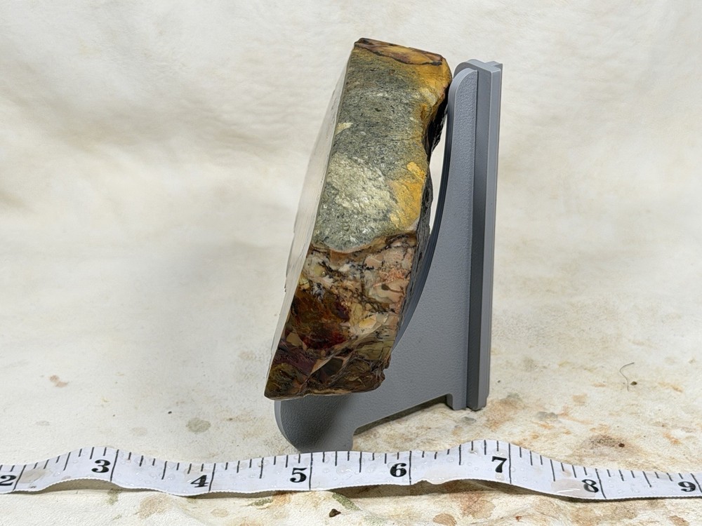 Carrasite Jasper Heel , Lot #344