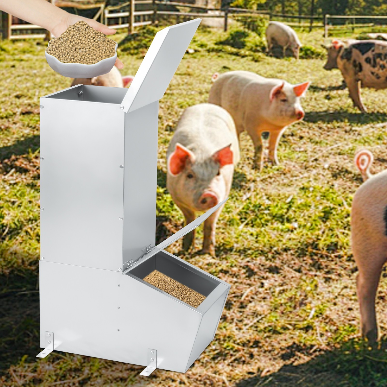 Hog Feeder,1.5 Bushel Single Door Automatic Pig Feeder,Pig Trough