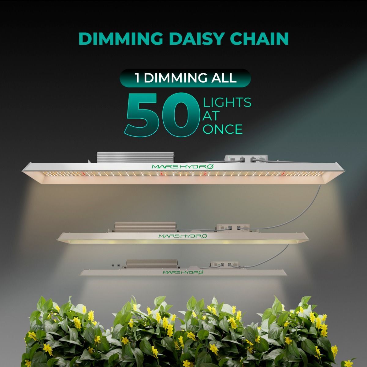 MARS HYDRO TSL 2000 Led Grow Light Full Spectrum for Indoor Plants All Stage IR