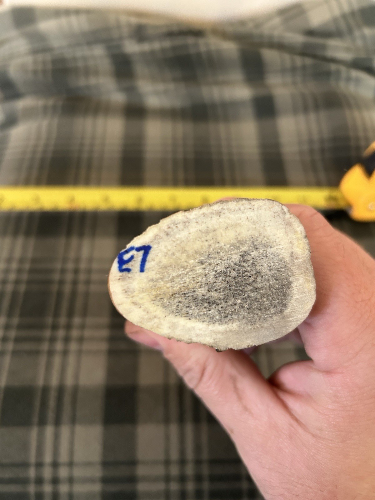 Large Elk Antler Knife Handle Raw Material Dog Chew Bone Chews Treat