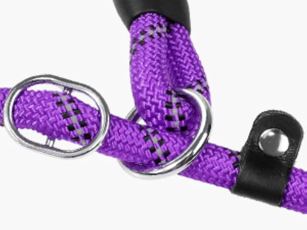 TaE Slip Dog Lead, No Pull Reflective Training Leash with Padded Handle,