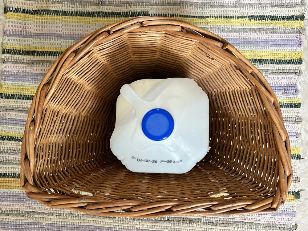 Bike Basket