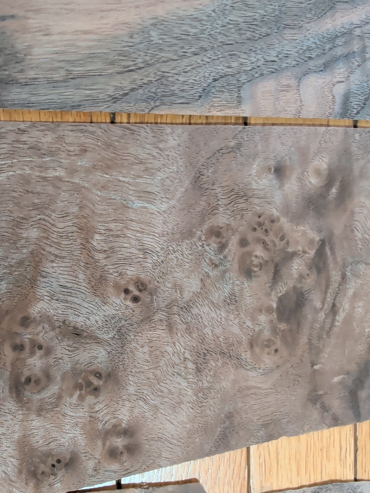 Walnut veneer 6" & 5" wide x 10" each and 1/42" 5 pieces wood raw