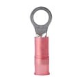 ANCOR #230203 RING TERMINALS PACK OF 6