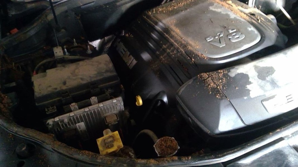 Steering Column Floor Shift Fits 18-24 DURANGO 4311776
