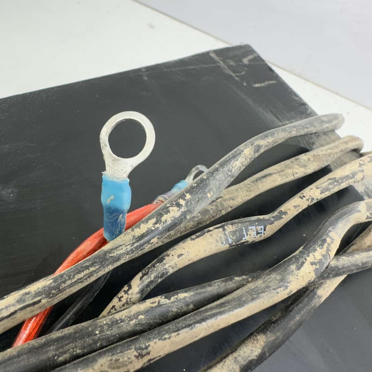 SwampDonkey Audio/Speaker System - 2023 Can-Am Commander Max XT 1000R