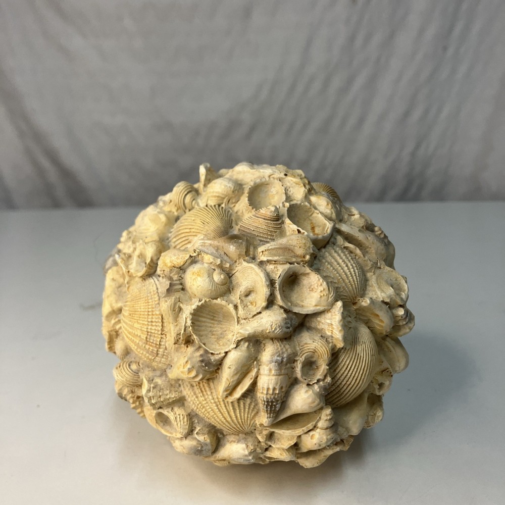 Authentic Sea Shells Round Orb Home Decor 4”x4” Beach Nautical