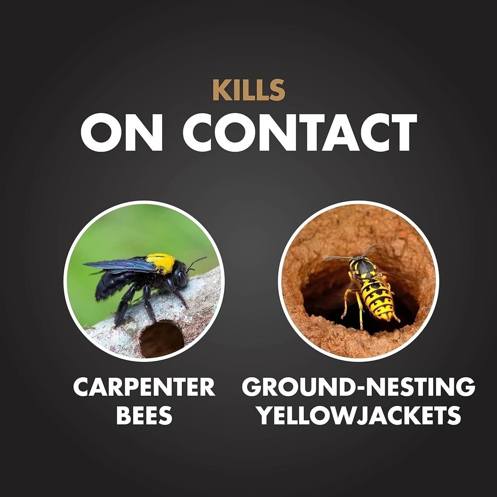Spectracide Carpenter Bee & Nesting Yellowjacket Killer Spray 16Oz Each
