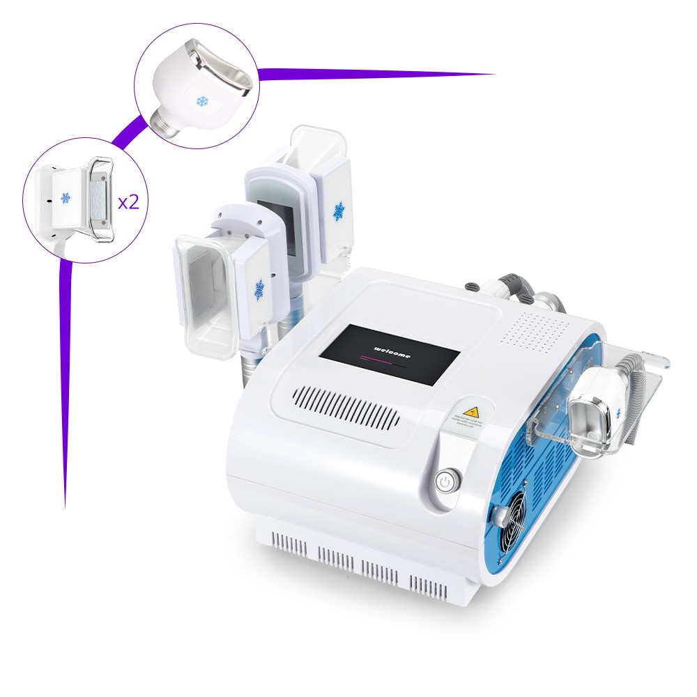 3 Handles Cold Beauty Machine 1 Chin handle+2 Body handle