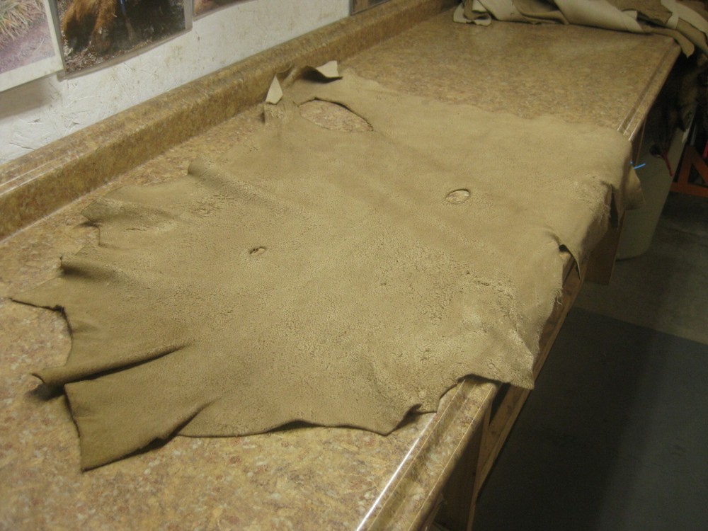 Tanned Deer Leather 0010954 row 13 a
