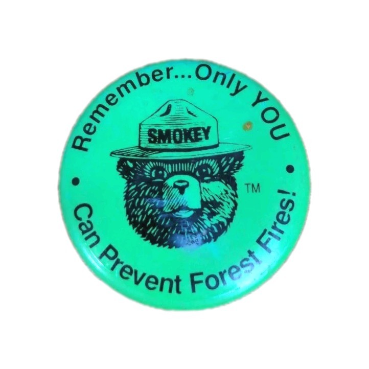 Smokey The Bear Prevent Forest Fires! Pin Back Button VTG