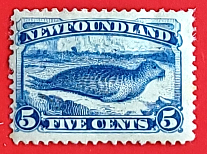 Canada Newfoundland 55 Harp Seal MH