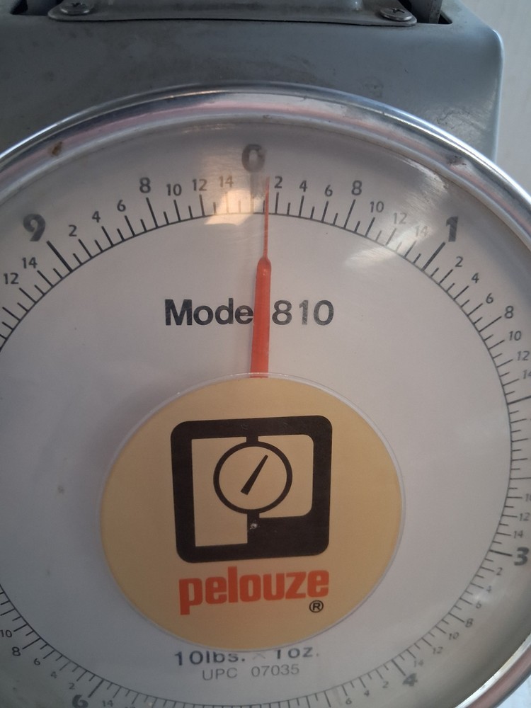 Pelouze #810 Scale