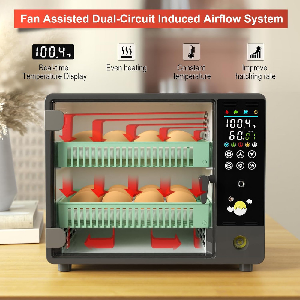 24-Egg Automatic Incubator with Humidifier and Temperature Control