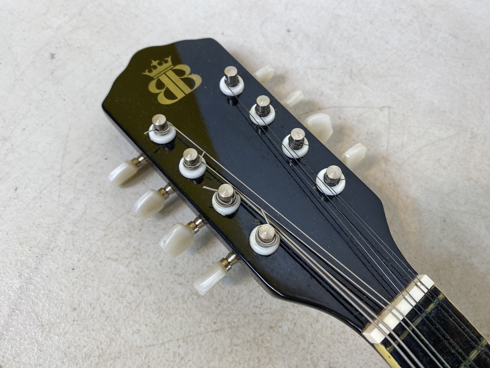 Mandolin BB B415 Instrument case & Accessories 41S9