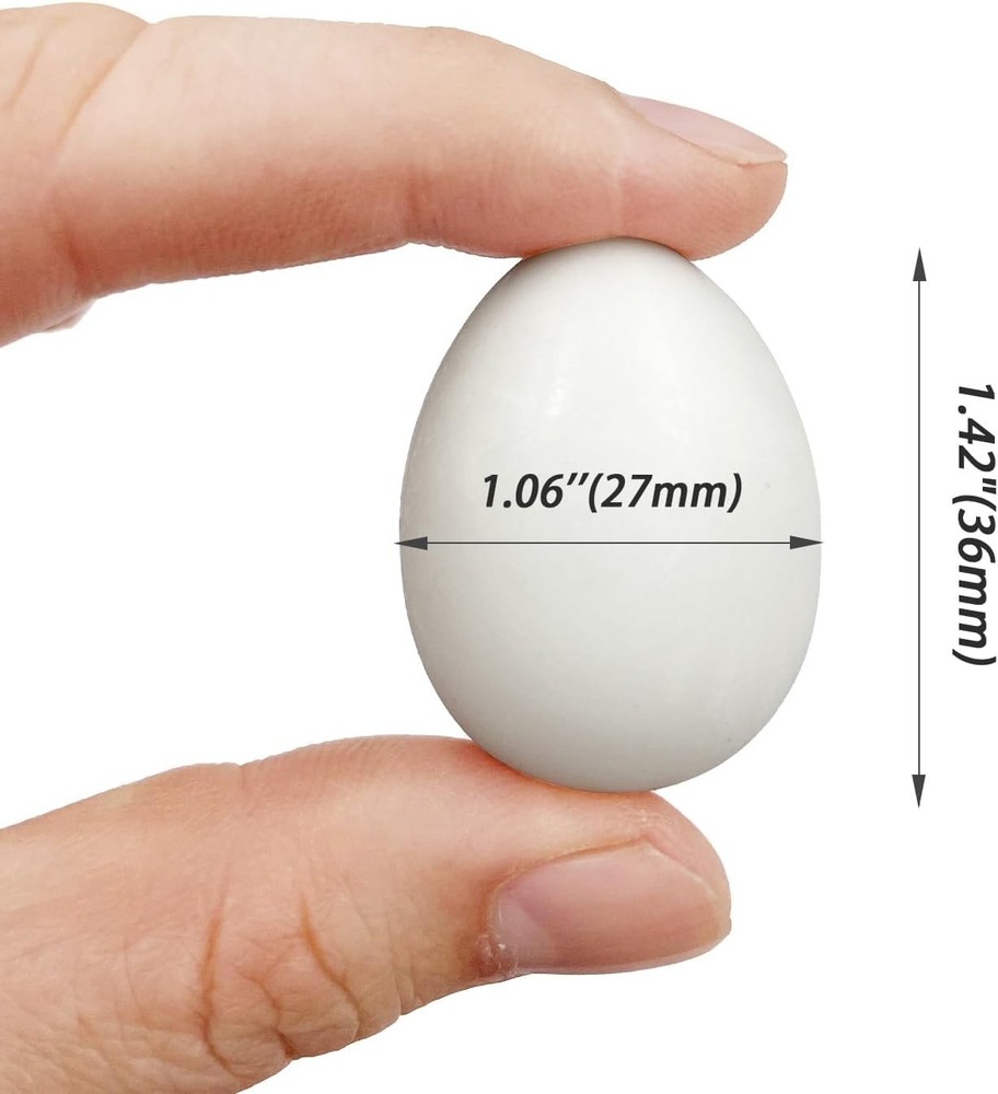 10pcs Solid Plastic Pigeon Eggs Fake for Racing Pigeons Hatching...