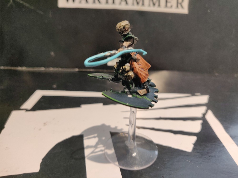 Warhammer 40k Dark Eldar Drukhari Beastmaster