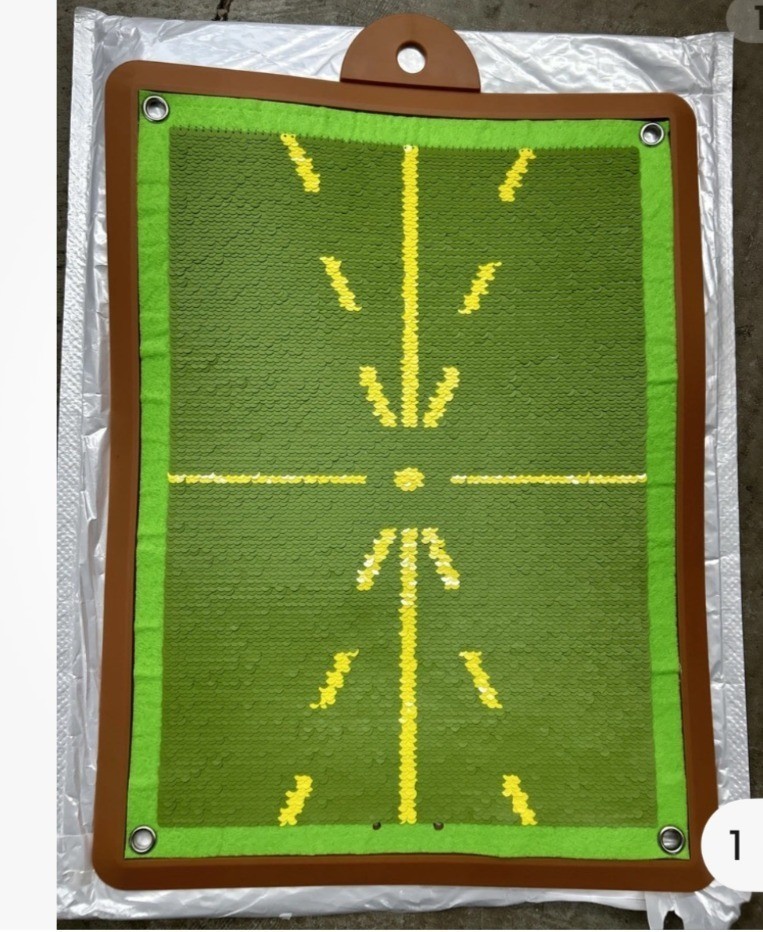 Golf Putting Practice Mat With Alignment Guides