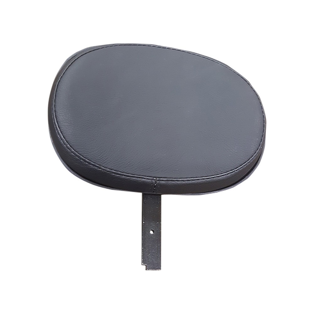 Danny Gray Driver Backrest Large (1114)