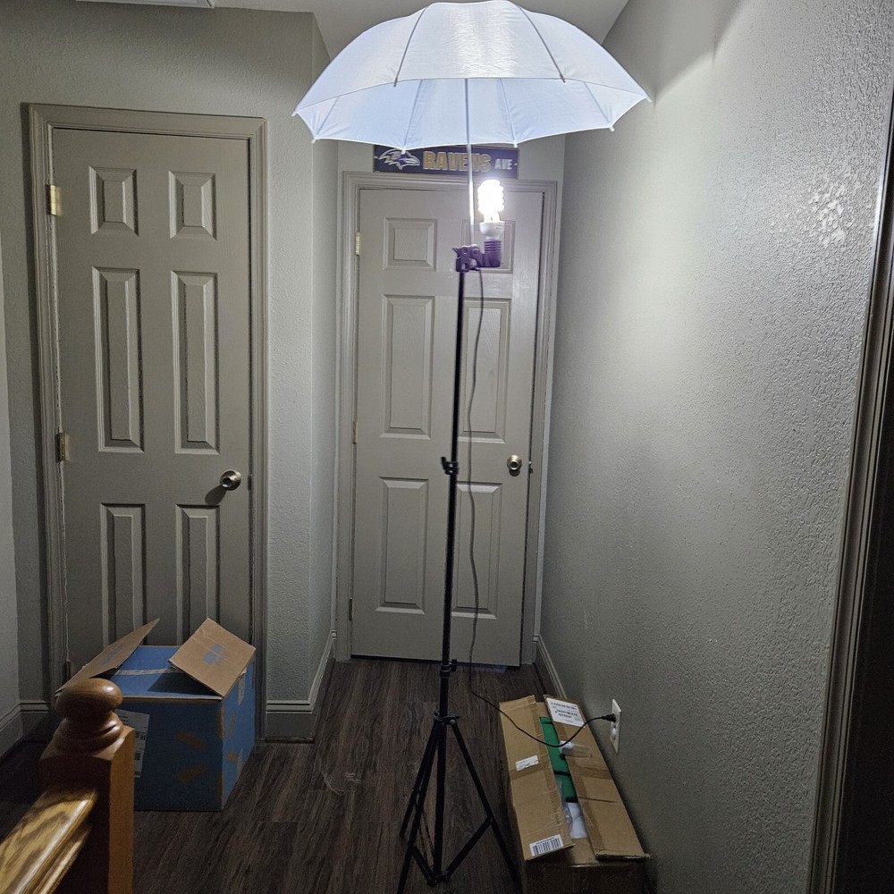 Andoer Adjustable Light Stand Kit with 3 Backdrops 3 Umbrellas & Case