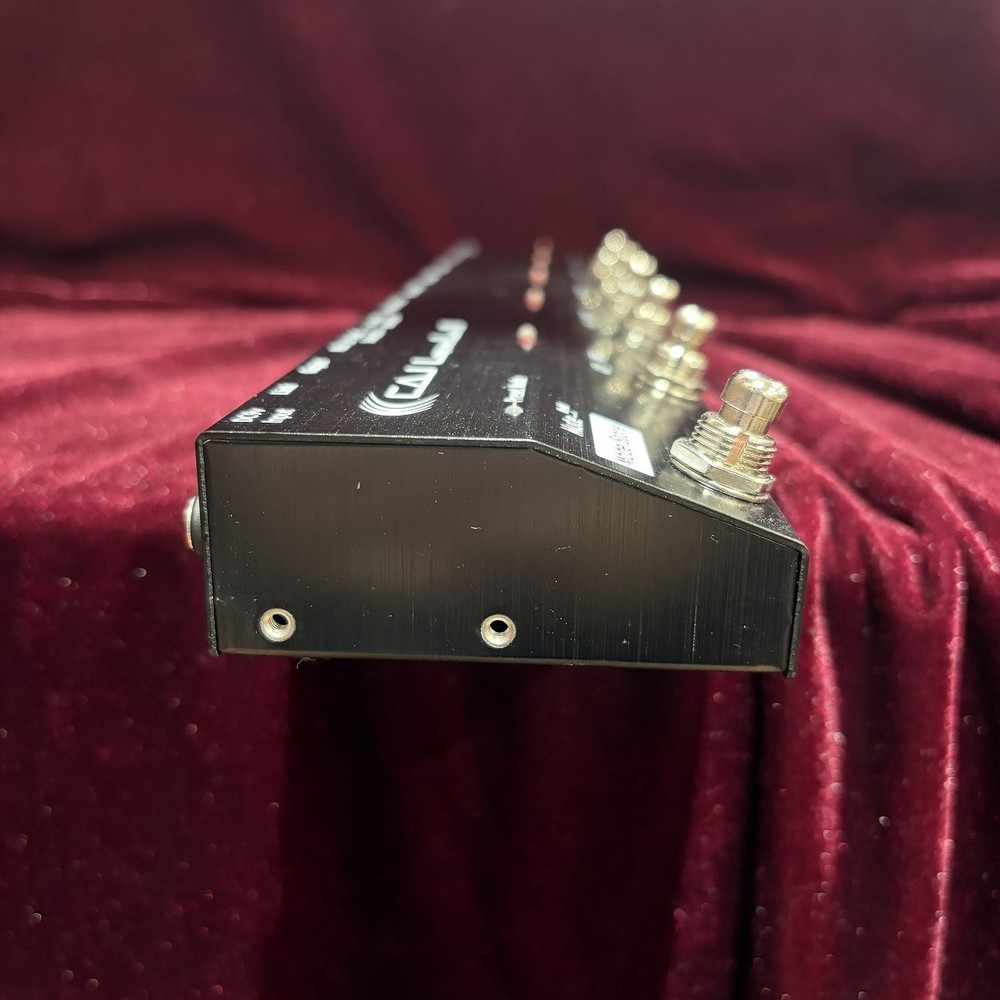 CUSTOM AUDIO JAPAN LOOPandLINK II