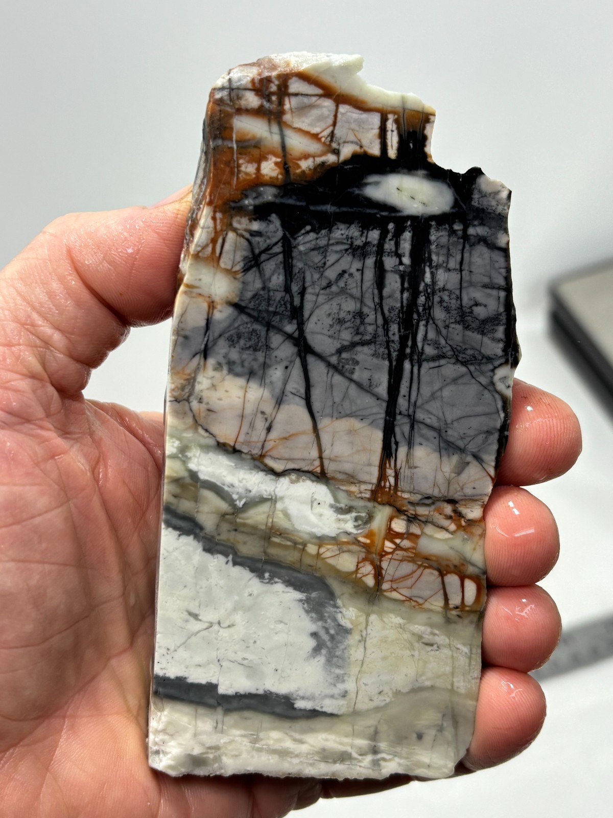 Picasso Marble (Jasper) end Slab Cabbing Lapidary Utah Combo Ship Avail