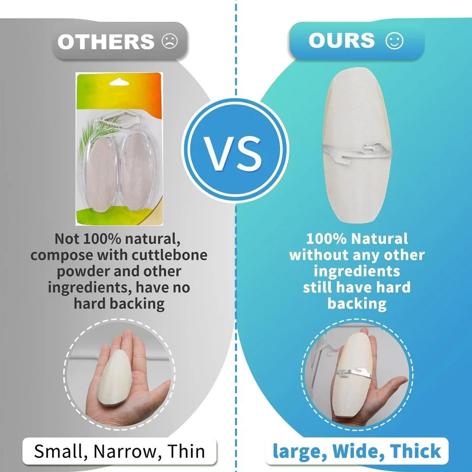 5"-5.5" Bird Cuttlebone for Parakeets, Cuddle Bone with Metal Holder, Cuttlefish