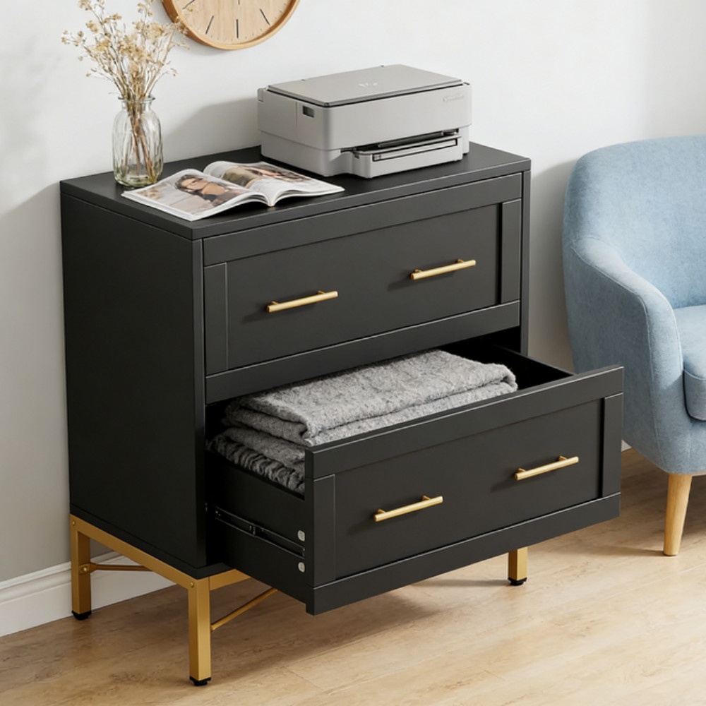 File Cabinet Two-drawer Cabinet Black