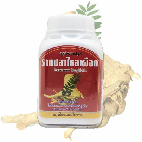 Taro Eel Root Тонгкат Али Eurycoma longifolia Long Jack