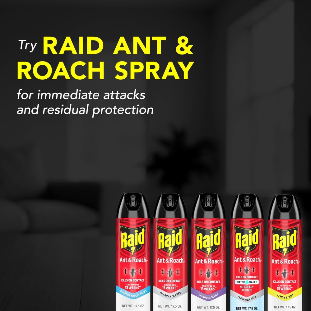 Raid Ant & Roach Killer Spray For Listed Bugs Keeps Killing for Weeks Lemon