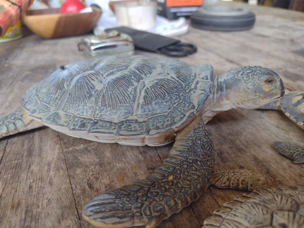 rubber turtles decor