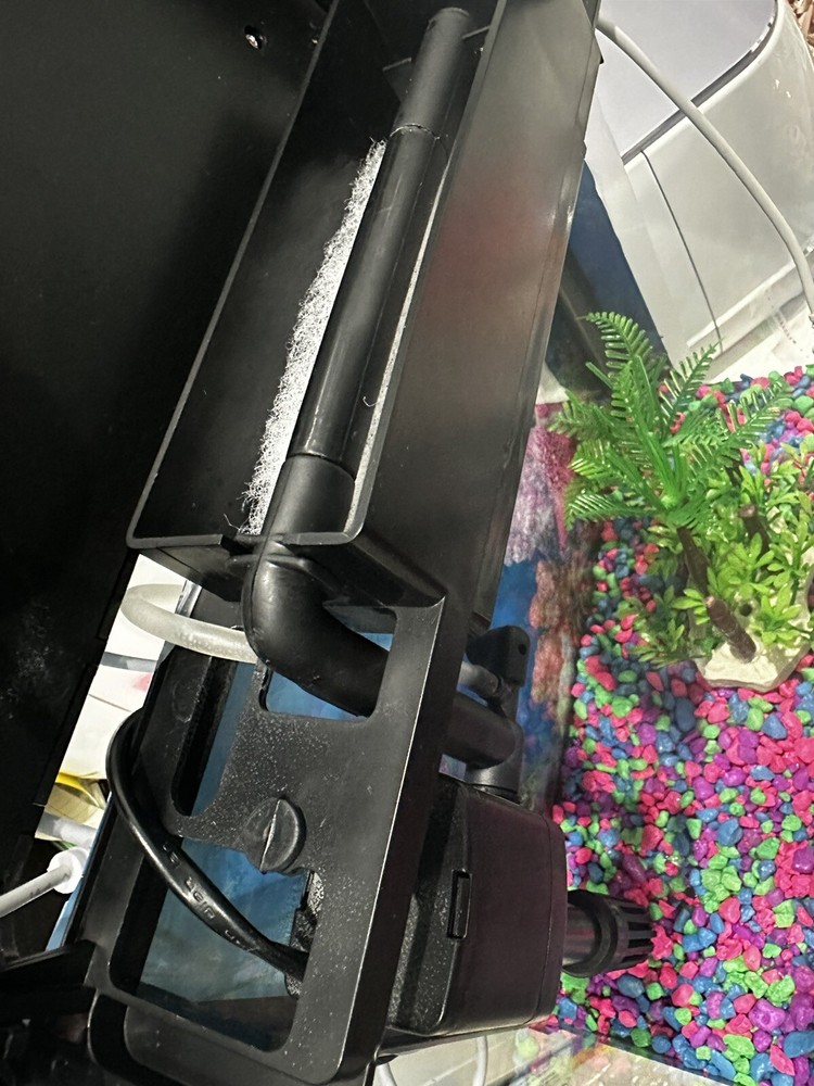 Aquarium fish tank
