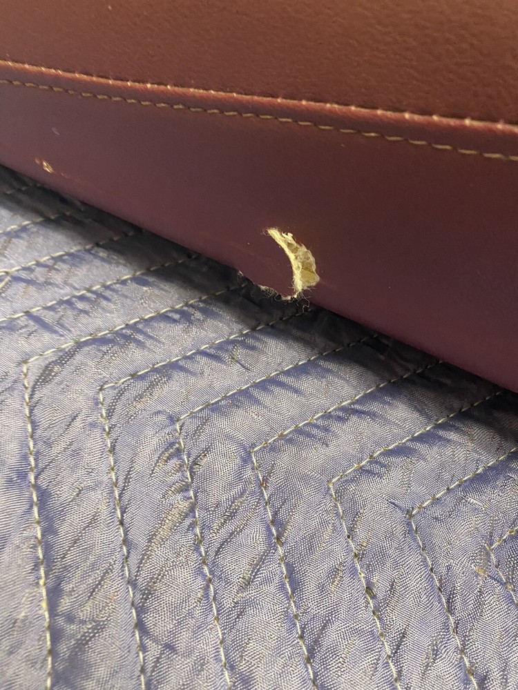 Midmark Ritter 75 Evolution Model Cushions Only