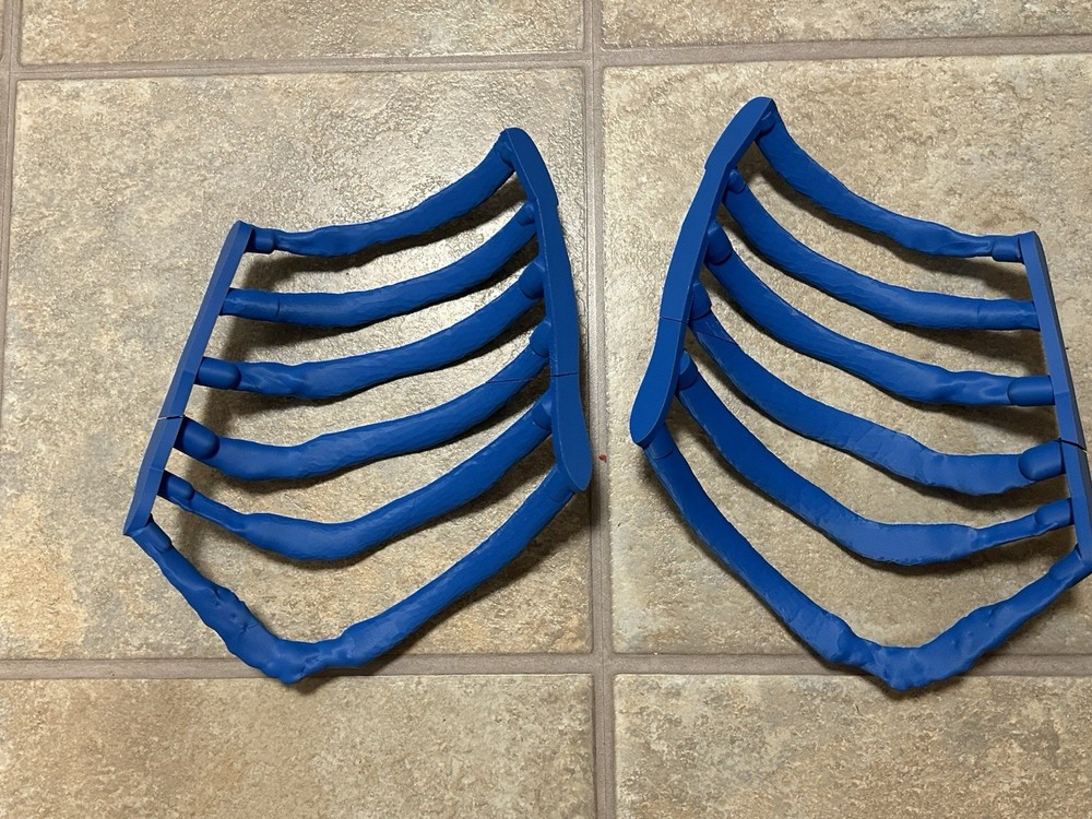 Full Size Training Human Ribs Rib Cage